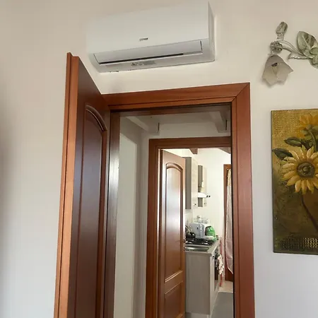 Apartment House Baby Elmas